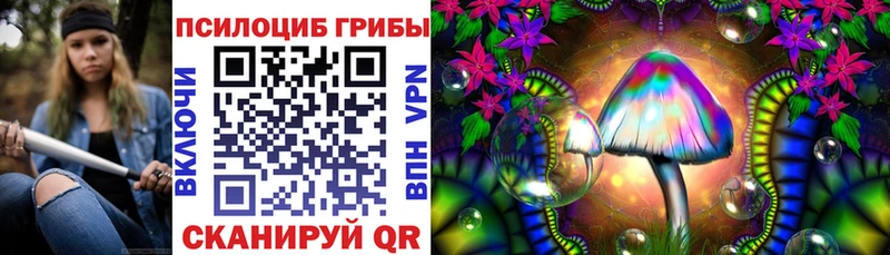 Псилоцибиновые грибы Psilocybe  закладка  Собинка 